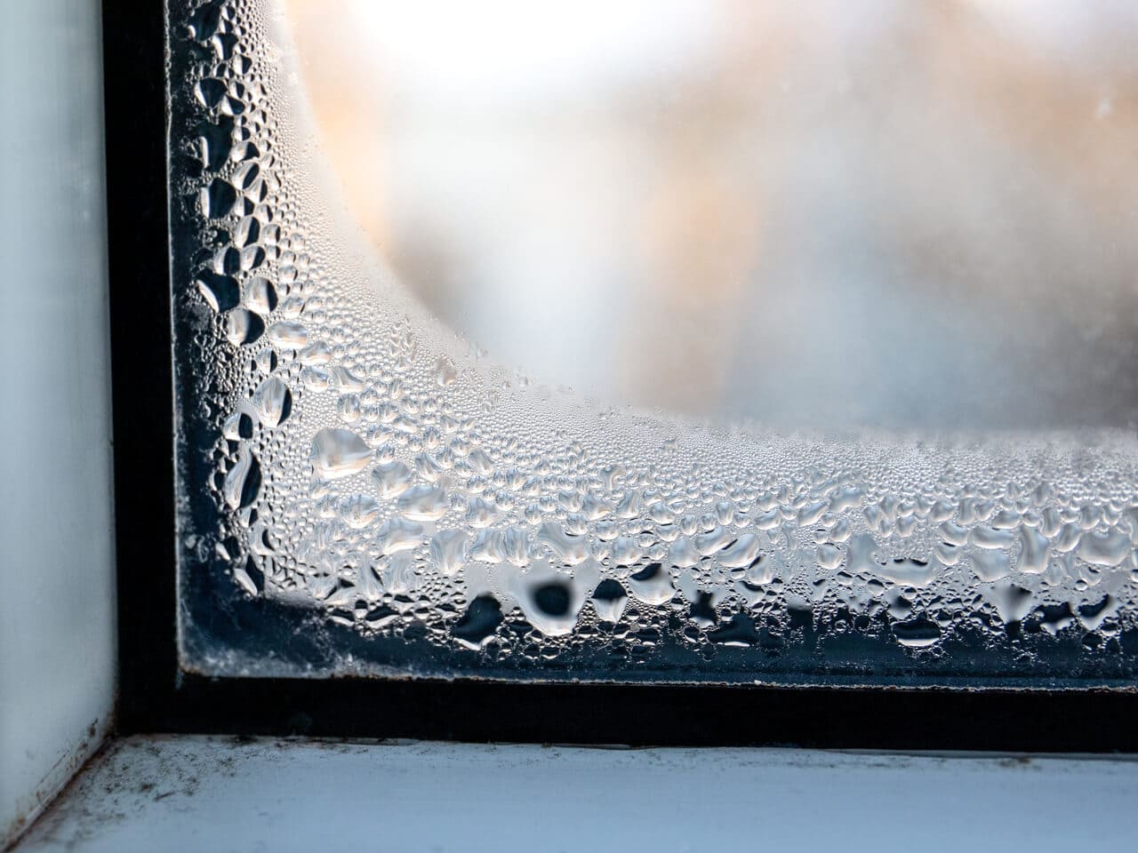 Schimmel am Dachfenster Was Sie tun können VELUX Magazin